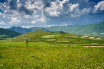 Obraz premium Piano Grande di Castelluccio, mountain and rural landscape