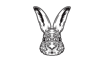 Arctic hare head illustration, vector, hand drawn, isolated on light background.