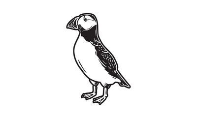 Puffin illustration, vector, hand drawn, isolated on light background.
