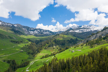 Fototapeta na wymiar The green countryside and some meadows in the mountains in Europe, in France, towards Beaufort, in the Alps, in summer, on a sunny day.