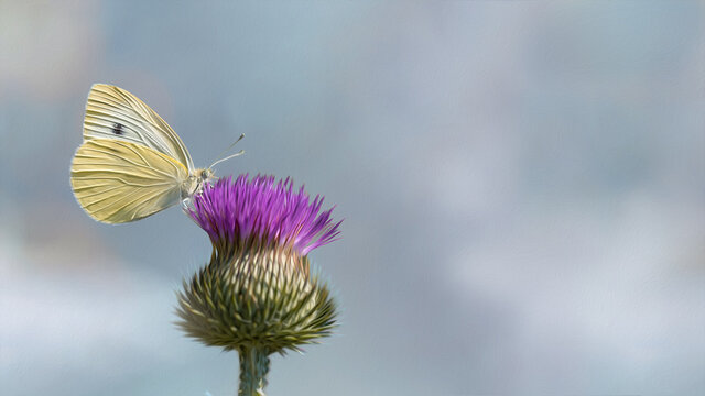 One white cabbage butterfly on a thistle flower at sunny day close-up macro. Selective focus with blurred background. Beautiful summer meadow, inspiration nature. Photo stylized as oil paint drawing.