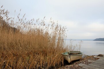 boat on the shore of a quiet lake in the reeds, beautiful landscape