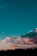 Carrera havia las nubes