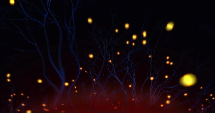 Flying through a fantastic forest filled with fireflies, forward to the rising sun. 
ProRes 422. Loop.