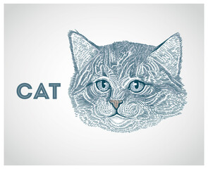 Kitten head, cat portrait, drawn in a graphic style.