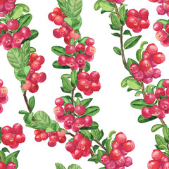 Aquarelle cowberry seamless pattern on white background. Watercolor hand drawing illustration. Lingonberry wallpaper design.