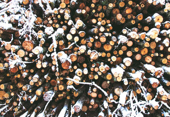 abstract background of sawn logs. Snow on a stack of wood.A warehouse of wooden logs under the...