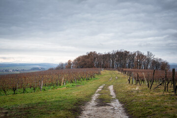  Landmark stone with boulder on a hill in Burgenland