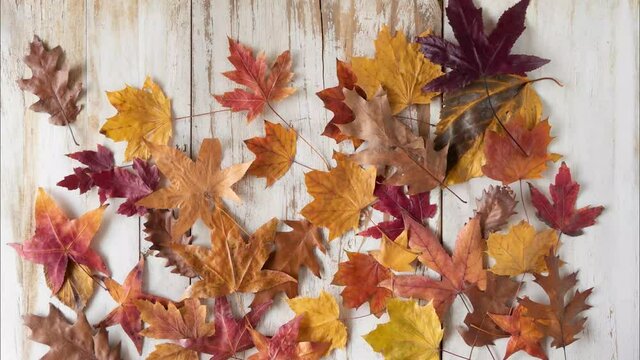 Animation with autumn leaves filling in the entire frame until it appears the word "FALL"