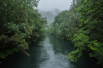 Eume river and green riverside forest on a rainy day