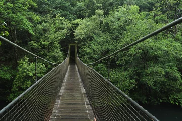 Keuken spatwand met foto Suspension bridge in the forest © Azahara MarcosDeLeon
