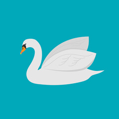 White Swan with blue background.Vector illustration