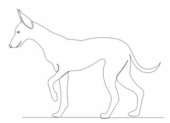 dog, drawing by one continuous line