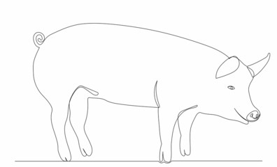 pig, drawing by one continuous line, sketch, vector