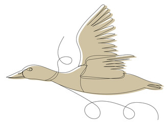 duck flies on white background sketch, vector, isolated