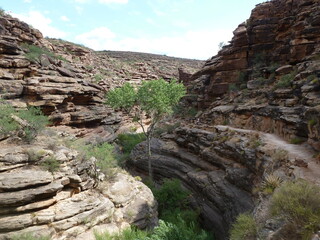 Bright Angel Trail winding down into the Grand Canyon to the Colorado River, Grand Canyon, Arizona, USA