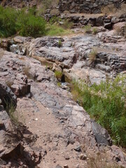 Small side river of Colorado River at the bottom of Grand Canyon, Arizona, USA