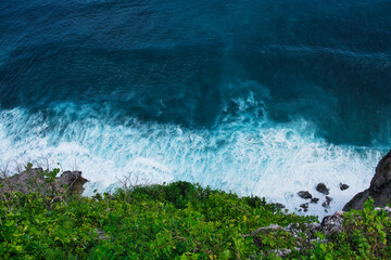 tropical sea and trees