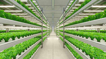 Hydroponic indoor vegetable plant factory in exhibition space warehouse. Interior of the farm hydroponics. Green salad farm. Lettuce Roman growing in greenhouse with led lightning. 3D render - obrazy, fototapety, plakaty