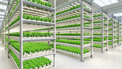 Hydroponic indoor vegetable plant factory in exhibition space warehouse. Interior of the farm hydroponics. Green salad farm. Lettuce Roman growing in greenhouse with led lightning. 3D render
