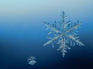 Two snowflakes on smooth gradient background. Macro photo of real snow crystal on glass surface....