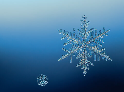Real Snowflake Images – Browse 11,818 Stock Photos, Vectors, and Video | Adobe Stock Real Snowflake Images – Browse 11,818 Stock Photos, Vectors, and Video | Adobe Stock