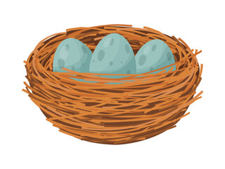 Bird nest. Nest with eggs and branches isolated on white background. 