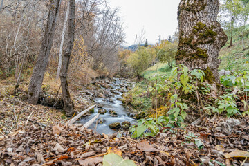 Landscape of a river in the Pyrenees in the valley of Aran Lleida Catalonia Spain