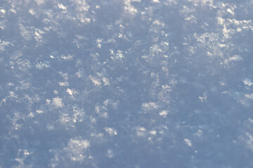 Many snowflakes on a snowfield