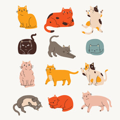 Set of cute cats. Cartoon style colorful hand drawn vector illustration for children