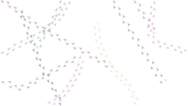 Bird foot prints design, traces loop video.
