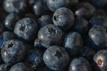 Ripe blueberries on a plate