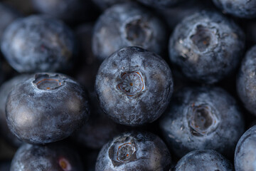 Ripe blueberries on a plate