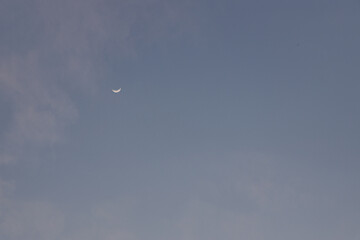 moon in the sky