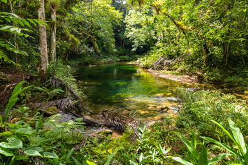 Naklejka na ściany i meble River in the middle of the rainforest in the Guanayara national park