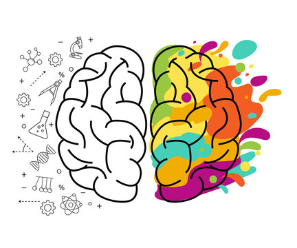 functioning of the left and right brain creative. colorful creativity mind idea. hemisphere of human head concept. vector illustration in flat style modern design. education study and science.