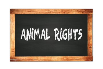 ANIMAL  RIGHTS text written on wooden frame school blackboard.