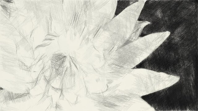 art drawing black and white of lotus flower background