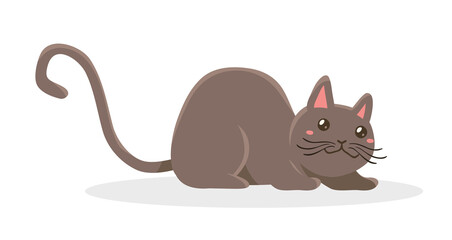 Vector illustration of happy cute brown cat character on white color background with shadow. Flat style design of lying animal cat