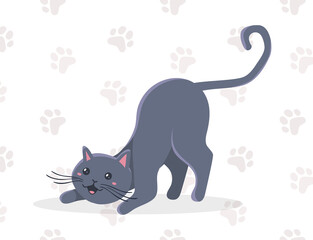 Vector illustration of happy cute gray cat character on white color background with shadow and paw print. Flat style design of playing animal cat