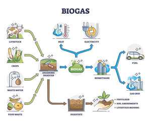 Biogas or bio gas division for energy consumption and sources outline diagram. Labeled educational natural renewable resource for eco gas grid and fuel or heat and electricity vector illustration. - obrazy, fototapety, plakaty