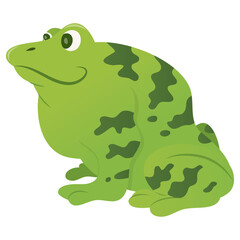 Cartoon Green Frog