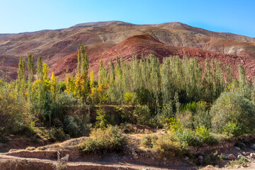 Uzbekistan, beautiful autumn landscape around Katta Langar. 