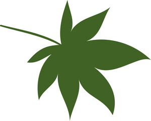 Maple leaf hand drawn sketch icon