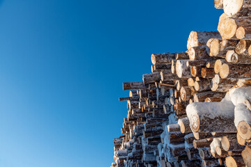 Stacked logs against the sky.