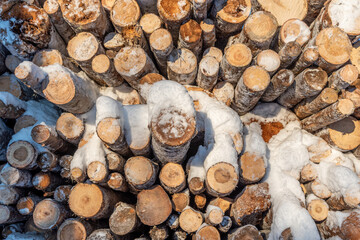 Stacked logs against the sky.