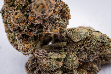 Terpene Tune In