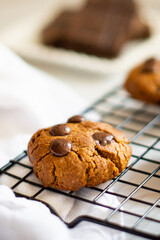 Fototapeta premium Chocolate Cookie