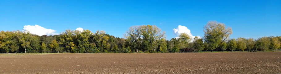 Paesaggio naturale autunnale nel mese di dicembre	
