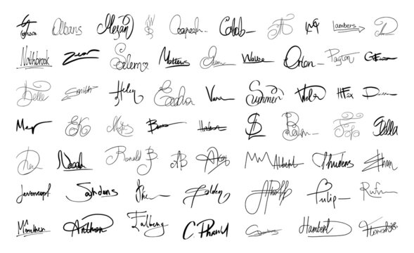 Set of handwritten signatures in black pen. Autographs on a white background.